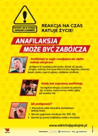 adr_wzf12706_2015_lodz.jpg