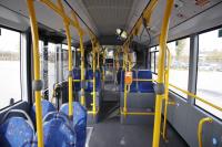 hybryda_mg_4197.jpg