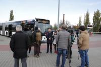 hybryda_mg_4230.jpg