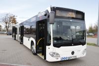 hybryda_mg_4238.jpg