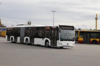 hybryda_mg_4245.jpg