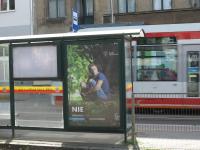nie_porzucaj_img_1640_web.jpg